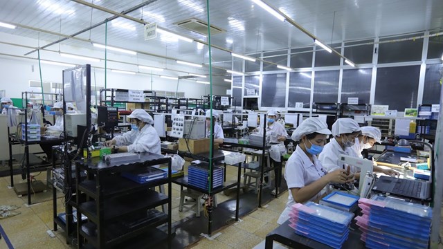 Doanh nghiệp xoay hướng thị trường