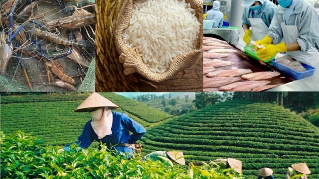 Doanh nghiệp xuất khẩu nông sản, thực phẩm sạch cần những gì?