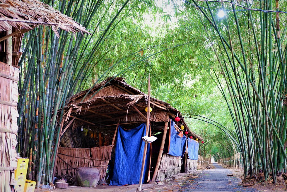 Mãn nhãn con đường tre dài nhất miền Tây9