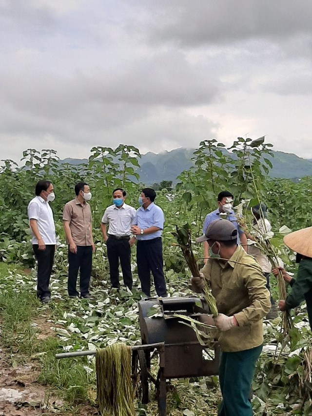 doi-doi-tu-c226y-gai-xanh-b224i-1-c226y-trong-moi-mang-nhieu-ky-vong_2.jpg