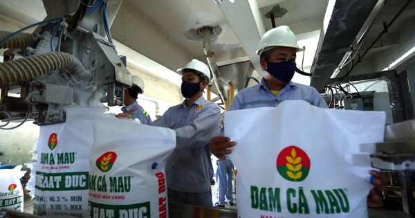 Dồn dập đón tin vui từ lãi lớn đến chính sách thuế GTGT mới, cổ phiếu phân bón DCM, DPM, BFC… tiếp đà thăng hoa