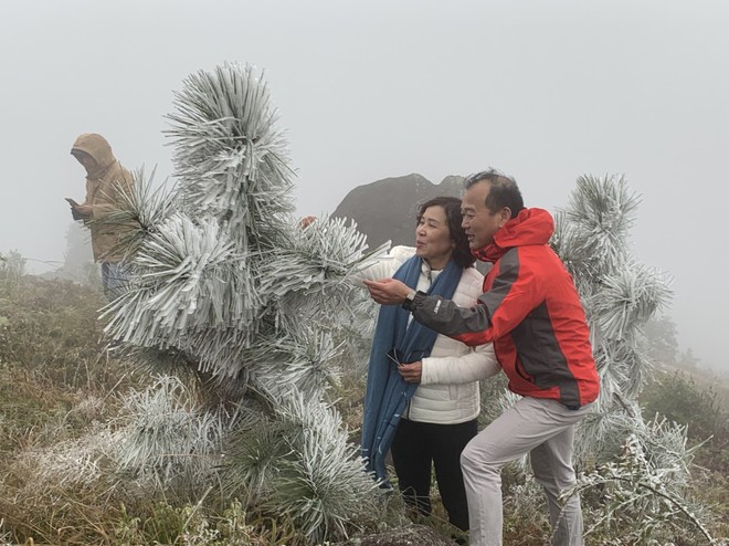 Du khách đổ xô lên biên giới Quảng Ninh ngắm băng tuyết - ảnh 4