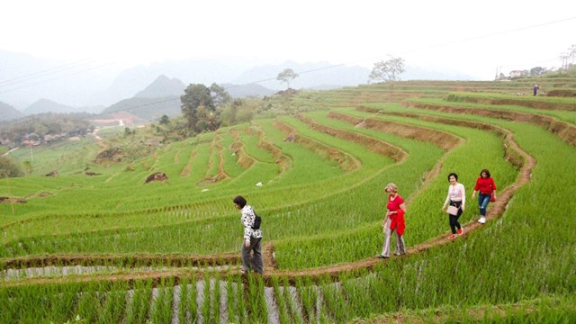 Du lịch tự túc bùng nổ