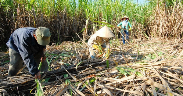 Đường nội ngoại đua nhau tăng giá