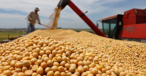 Đường Quảng Ngãi (QNS): 6 tháng thực hiện 57% chỉ tiêu LNST với 521,5 tỷ đồng