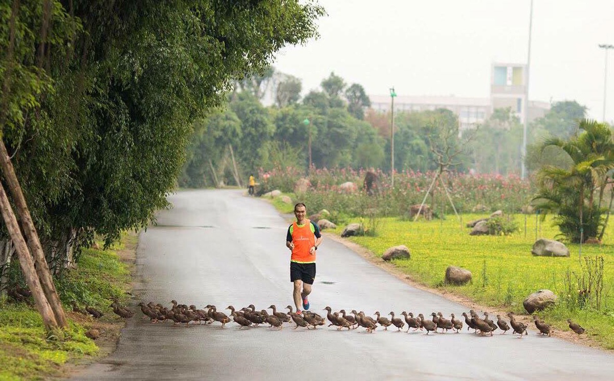 Ecopark Marathon 2021 - Ngắm cung đường chạy giữa thiên nhiên ‘siêu chất’ trước giờ G - ảnh 3