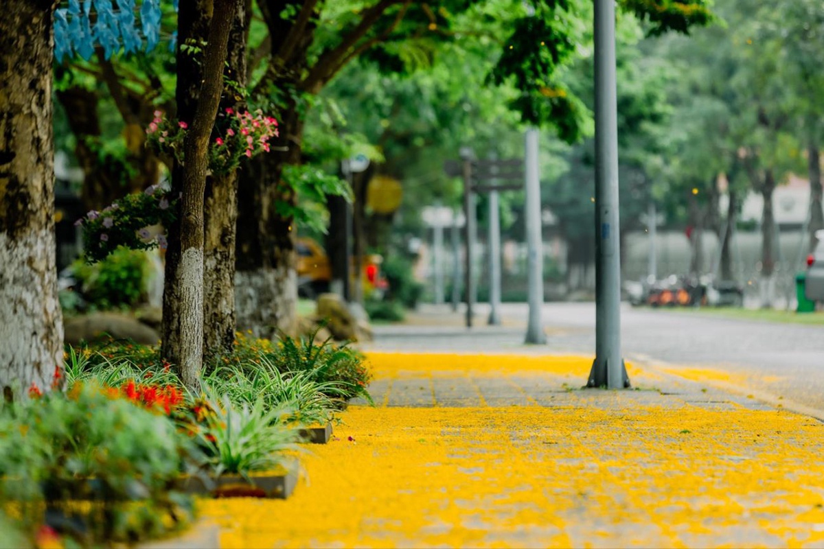 Ecopark Marathon 2021 - Ngắm cung đường chạy giữa thiên nhiên ‘siêu chất’ trước giờ G - ảnh 8