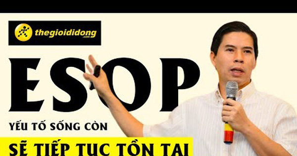 ESOP: Công cụ tài chính được TGDĐ và FPT cực kỳ ưa chuộng, dưới góc nhìn cổ đông, thuế và kế toán Việt Nam