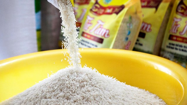 EVFTA mở đường cho gạo Việt vào EU