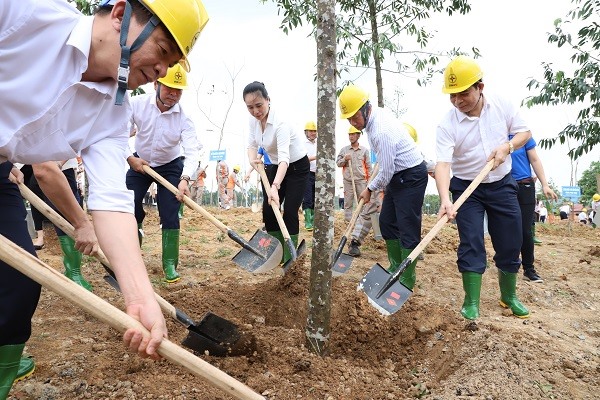 EVNNPC hưởng ứng phong trào vì một Việt Nam xanh 