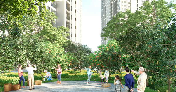 Feliz Homes - đưa cả thế giới tuổi thơ vào không gian sống