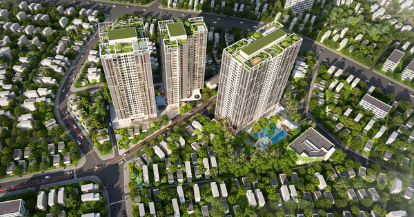 Feliz Homes - Tạo dựng thế giới muôn màu cho trẻ nhỏ