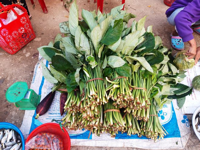 Gần Tết, khám phá chợ 'có một không hai', bán sản vật núi rừng Trường Sơn - ảnh 15