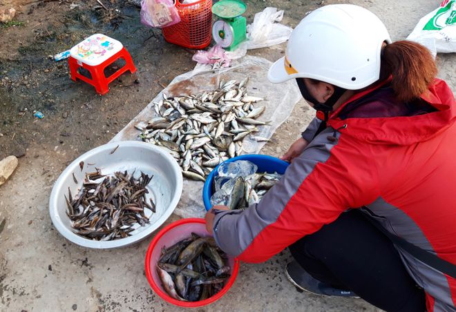 Gần Tết, khám phá chợ 'có một không hai', bán sản vật núi rừng Trường Sơn - ảnh 20