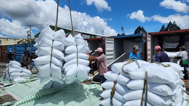 Gạo xuất khẩu: Tiếp đà giảm giá
