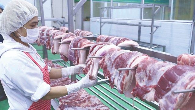 Giá thịt lợn và bài toán ổn định thị trường