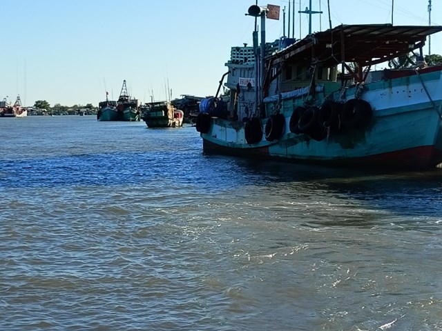 gi225-xang-tang-ngu-d226n-39ngai-b225m-bien39_1.jpg gi225-xang-tang-ngu-d226n-39ngai-b225m-bien39_1.jpg