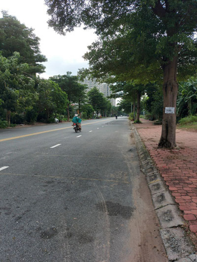 Giá bất động sản TP Thủ Đức tăng thật hay ảo? - Ảnh 1. Giá bất động sản TP Thủ Đức tăng thật hay ảo? - Ảnh 1.