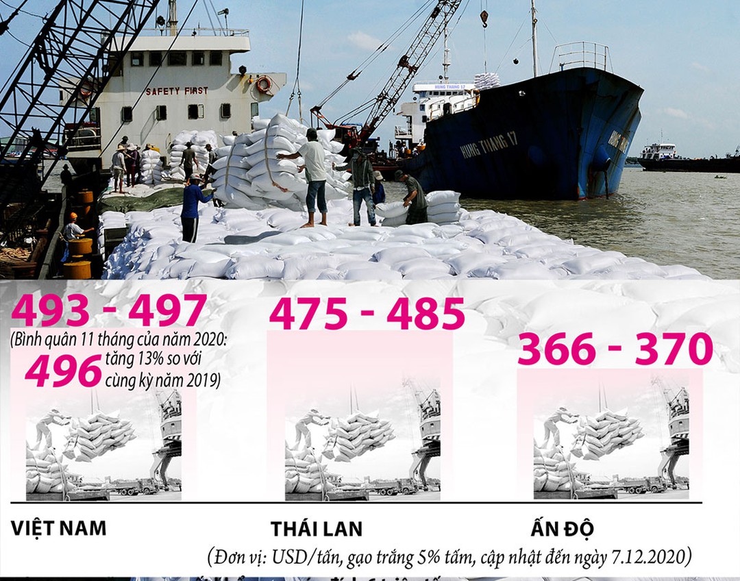 Giá gạo Việt xuất khẩu đang tốt nhất trong lịch sử