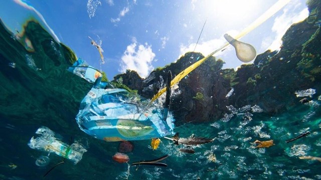 Giảm đồ nhựa dùng 1 lần: Việc cần làm ngay từ mỗi cá nhân, gia đình