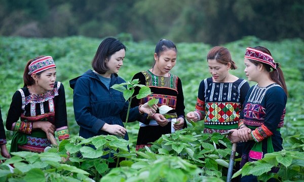 Giảm khoảng cách giới trong cộng đồng dân tộc thiểu số