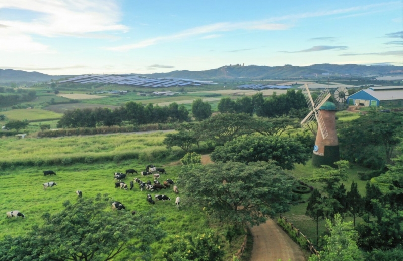 Các trang trại tại Vinamilk đều sử dụng năng lượng mặt trời, hệ thống biogas biến chất thải đàn bò thành tài nguyên.