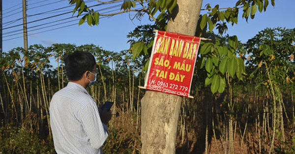 Giàu lên nhờ bất động sản, nhà đầu tư kỳ cựu này 