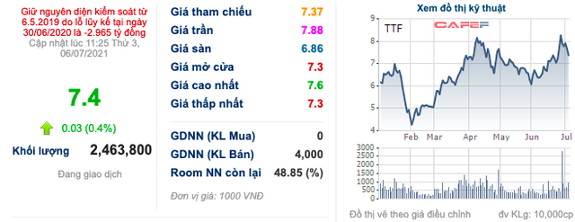 Gỗ Trường Thành (TTF): Biến động nhân sự cấp cao giữa bối cảnh tái cấu trúc nợ quyết liệt - Ảnh 1. Gỗ Trường Thành (TTF): Biến động nhân sự cấp cao giữa bối cảnh tái cấu trúc nợ quyết liệt - Ảnh 1.