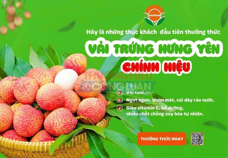 Vải trứng Hưng Yên có trọng lượng khoảng 18 -22 quả/kg, quả to vượt trội chỉ 13-16 quả/kg trong khi vải thông thường từ 28-30 quả/kg.