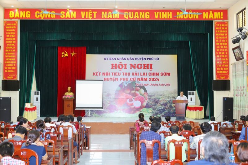 Huyện Phù Cừ, Hưng Yên luôn chủ động tổ chức hội nghị kết nối tiêu thụ vải; hỗ trợ các nhà vườn, hợp tác xã tiêu biểu tham gia các hoạt động xúc tiến tiêu thụ vải và nông sản do tỉnh tổ chức