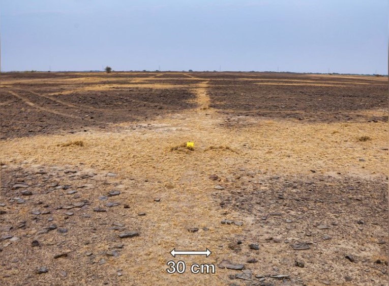 Google Earth phát hiện hình vẽ bí ẩn lớn nhất thế giới trên sa mạc