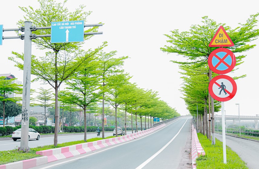 h224-noi-39phi234u39-tr234n-con-duong-rop-b243ng-b224ng-l225-nho_9.jpg