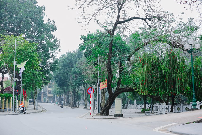 h224-noi-can-canh-tuyen-pho-di-bo-thu-4-sap-di-v224o-hoat-dong_10.jpg