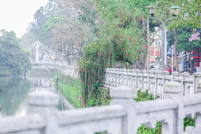 h224-noi-can-canh-tuyen-pho-di-bo-thu-4-sap-di-v224o-hoat-dong_8.jpg
