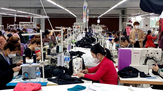 Hà Tĩnh: Hơn 500 doanh nghiệp thành lập mới, thu ngân sách hơn 8.600 tỷ đồng