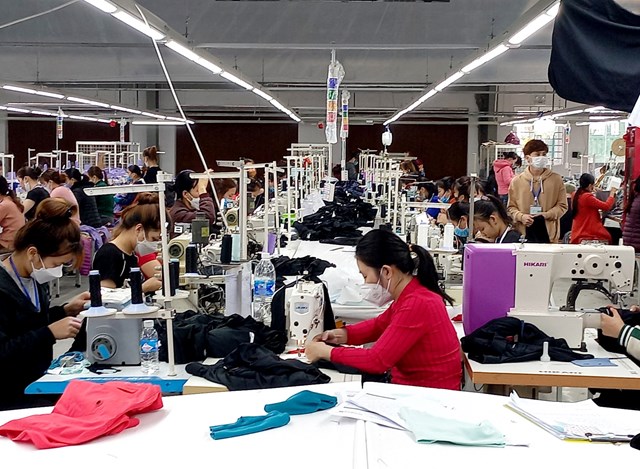 h224-tinh-hon-500-doanh-nghiep-th224nh-lap-moi-thu-ng226n-s225ch-hon-8600-ty-dong_1.jpg h224-tinh-hon-500-doanh-nghiep-th224nh-lap-moi-thu-ng226n-s225ch-hon-8600-ty-dong_1.jpg