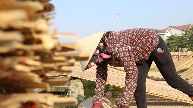 Hà Tĩnh: Làng nghề bánh đa nem thôn Bình tăng tốc phục vụ Tết