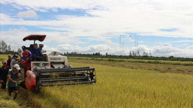 Hà Nội: Đẩy mạnh chuỗi liên kết để nông sản Việt dễ dàng tiêu thụ
