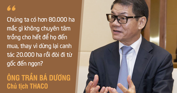 HAGL Agrico (HNG): Doanh thu giảm phân nửa xuống 260 tỷ sau quý đầu tiên do Thaco 