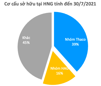 HAGL Agrico (HNG): Nửa đầu năm lỗ ròng 123 tỷ đồng, dư nợ tại Thaco chiếm đến 47% tổng tài sản với 7.359 tỷ đồng - Ảnh 3. HAGL Agrico (HNG): Nửa đầu năm lỗ ròng 123 tỷ đồng, dư nợ tại Thaco chiếm đến 47% tổng tài sản với 7.359 tỷ đồng - Ảnh 3.