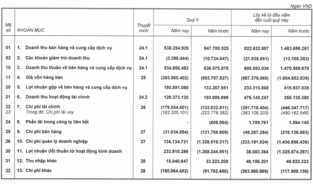 HAGL: Chuyển từ lỗ ngàn tỷ sang có lãi, mảng nuôi heo sau 1 năm đã thu về 94 tỷ lãi gộp trong quý 2 - gấp đôi con số từ cây ăn trái - Ảnh 1. HAGL: Chuyển từ lỗ ngàn tỷ sang có lãi, mảng nuôi heo sau 1 năm đã thu về 94 tỷ lãi gộp trong quý 2 - gấp đôi con số từ cây ăn trái - Ảnh 1.