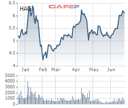 HAGL (HAG): Cổ phiếu trong xu hướng tăng, Thành viên HĐQT đăng ký bán khớp lệnh 500.000 cổ phần - Ảnh 1.