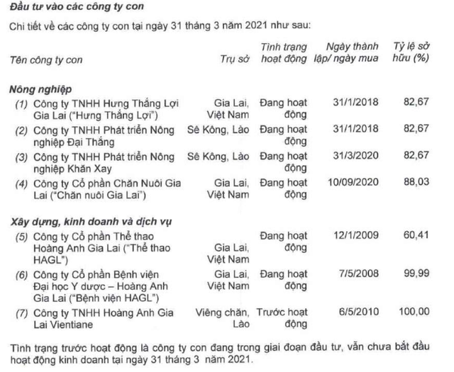 HAGL là công ty gì sau khi bán HNG cho Thaco? - Ảnh 1. HAGL là công ty gì sau khi bán HNG cho Thaco? - Ảnh 1.