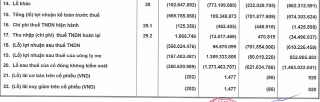 HAGL: Quý 3/2020 chính thức không còn phát sinh chi phí điều chỉnh vườn cây, lũy kế 9 tháng vẫn còn lỗ ròng 622 tỷ đồng - Ảnh 2.