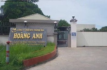 Hải Dương: Công ty Hoàng Anh phải dừng hoạt động do có nhiều sai phạm