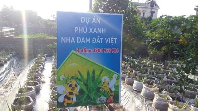 Hải Dương: Chỉ đạo làm rõ những bất thường tại dự án trồng cây nha đam 