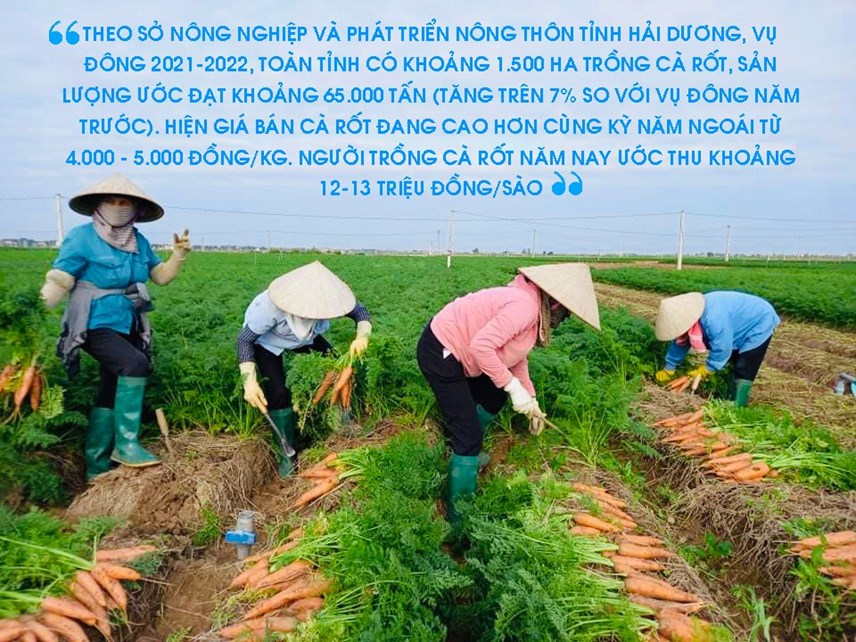 hai-duong-chuyen-doi-ph249-hop-n244ng-d226n-trong-c224-rot-huong-niem-vui-som_3.jpg