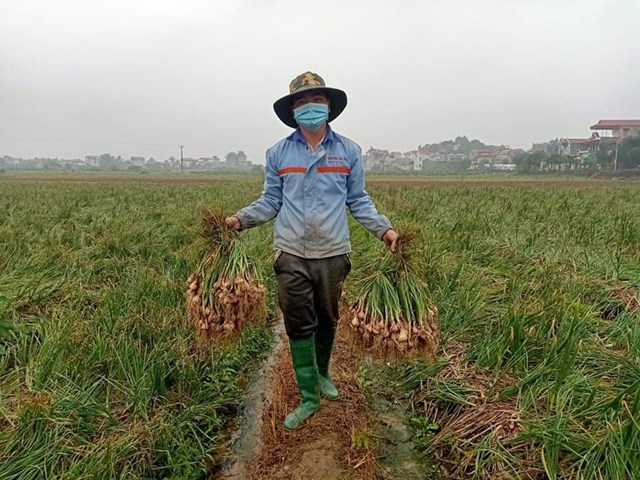 hai-duong-h224nh-toi-mat-m249a-rot-gi225_3.jpg hai-duong-h224nh-toi-mat-m249a-rot-gi225_3.jpg
