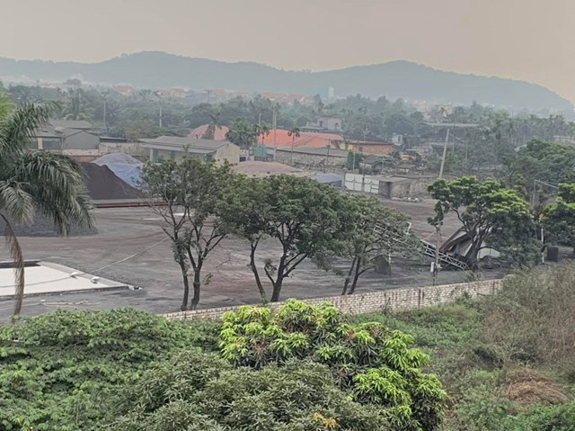 hai-duong-tam-giu-tr234n-46-ngh236n-tan-than-kho225ng-san-kh244ng-nguon-goc-xuat-xu_2.jpg hai-duong-tam-giu-tr234n-46-ngh236n-tan-than-kho225ng-san-kh244ng-nguon-goc-xuat-xu_2.jpg