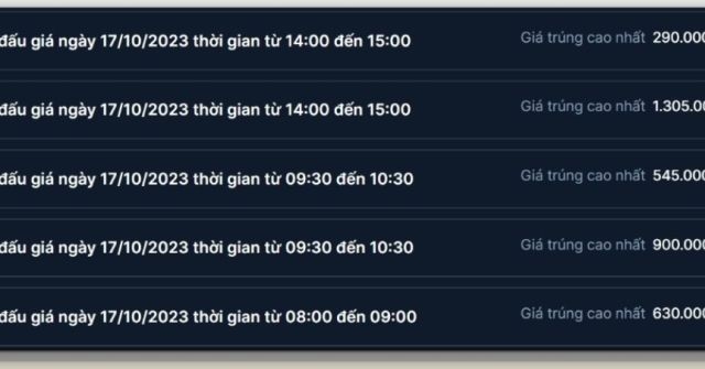 Hải Phòng đấu giá một biển số xe ô tô đạt tiền tỷ 